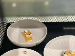 -柴务处·柴犬主题狗咖