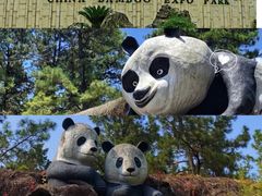 -安吉竹博园