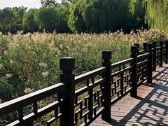 -北坞公园