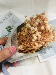 -蜜丝卡伦美甲美睫连锁