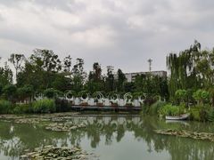 -天府芙蓉园