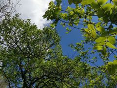 -大岭沟猕猴桃谷风景区