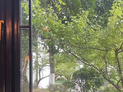 -杭州西湖柳莺里酒店·闻莺厅