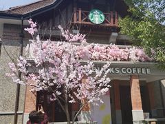 -星巴克臻选(思南公馆店)