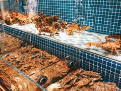-蓝钻·国际美食海鲜自助百汇(西直门店)