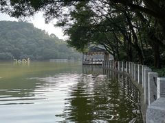 -西樵山风景名胜区-天湖公园