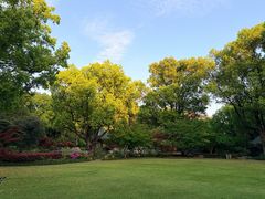 -申粤轩酒楼·三十年粤菜经典(丁香花园店)