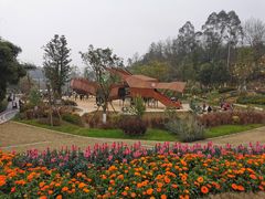 -黄龙溪欢乐田园