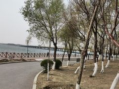 -丁香湖公园