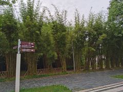 -武汉园博园(武汉自然博物馆)