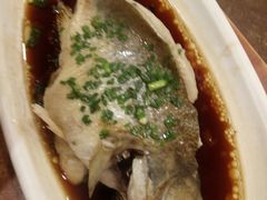 鲈鱼-西新饭店(城中店)