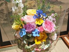 -桃夭日式料理(国信店)