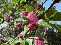 -元大都城垣遗址公园