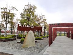 -春花秋色城市公园