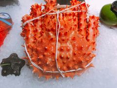 -62°上清优选