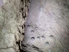 -西峡恐龙遗迹园