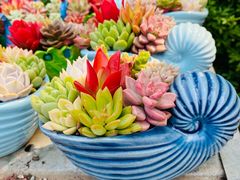 -北京植物园南门售票处