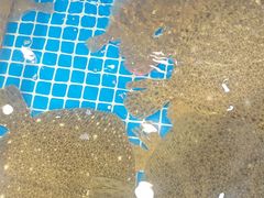 -隐厨·海鲜餐厅(恒通路店)