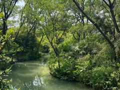 -西溪国家湿地公园