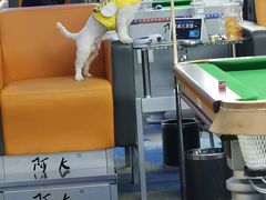 -阿K桌球(星光大道店)