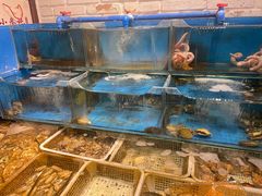 -潮庭·大连海鲜·炭火烧烤·扇贝王(大连店)