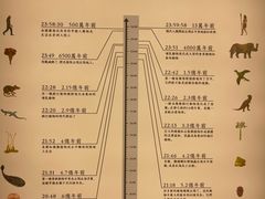 -無用生活空间(北京店)