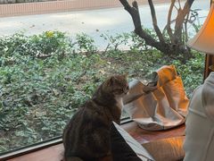 -咖法森林·咖啡  酒吧(天河店)