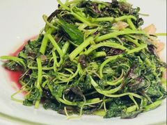 -香雪海饭店中餐厅(人民桥店)