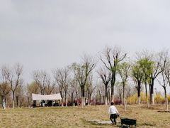 -天津东丽湖风景区