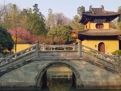 -慧因高丽寺