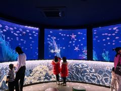 -沈阳海洋探索中心