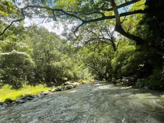 -大围山峡谷漂流