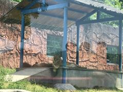 -无锡动物园·太湖欢乐园