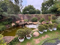 -传统菜农庄(皇姑路店)