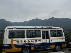 -龙坞茶村