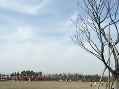 -春花秋色城市公园