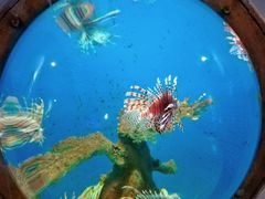 -北海·海洋之窗