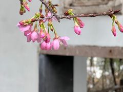 -乌山风景区