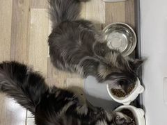 -美联众合24小时·皮肤科·外科·全科诊疗中心(华苑分院)