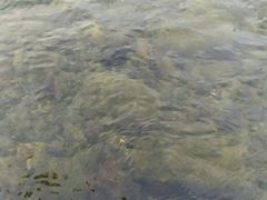 -鸳鸯溪漂流