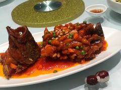 -蝶园·装修中(BFC外滩金融中心店)