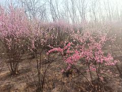 -瀛海足球主题公园