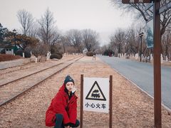 -永定河休闲森林公园