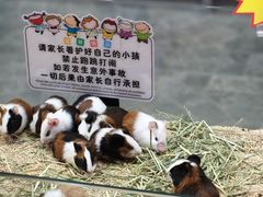 -百荣世贸商城