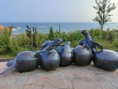 -广东惠东海龟国家级自然保护区