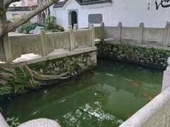 -墨池公园