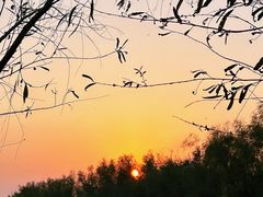 -艾溪湖湿地公园
