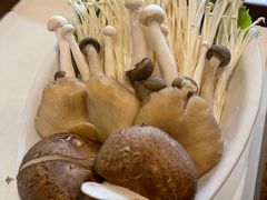 -百年果林椰子鸡(中洲店)