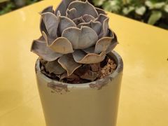 -小时光咖啡馆(北锣鼓巷店)