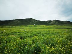-扁都口生态休闲旅游区